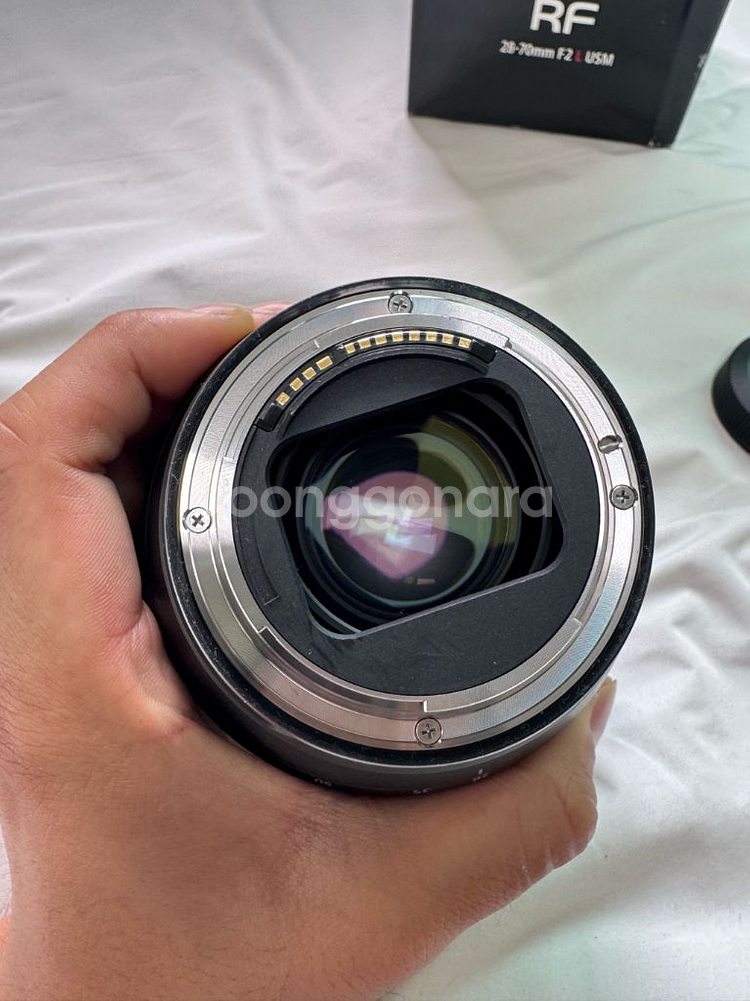 캐논 RF28-70mm F2 왕계륵--3