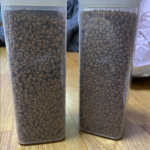 강아지 용품 판매