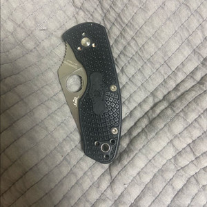 스파이더코 앰비셔스