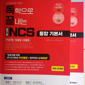 독학으로 끝내는 공기업 ncs 통합 기본서