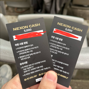 넥슨캐시 1만원
