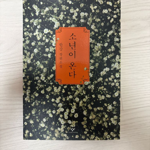 소년은 온다 한강