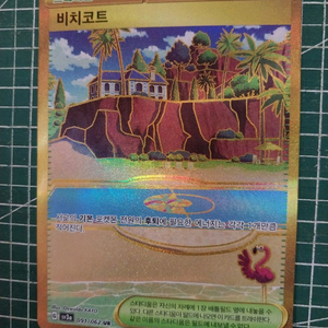 포켓몬카드 비치코트 ur