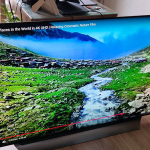 65인치 OLED TV OLED65C8GNA
