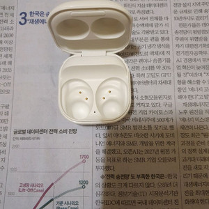 버즈 FE 본체