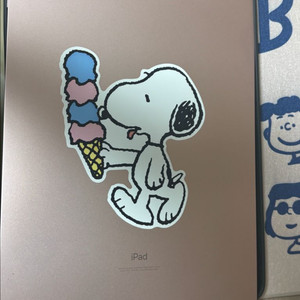 아이패드