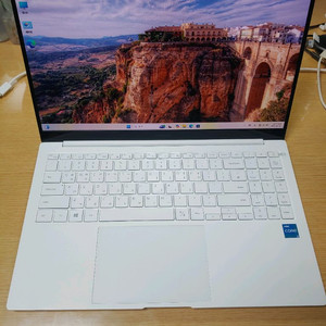 갤럭시북 프로 NT950XDY-A38AS