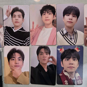 데이식스 원필포카 일괄(팬미팅/콘서트등)