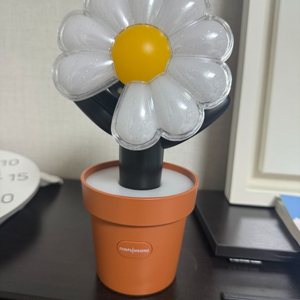 지디 응원봉