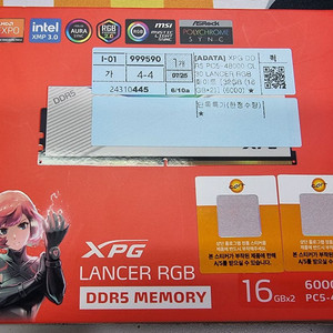 XPG LANCER RGB RAM 램 DDR5 32GB