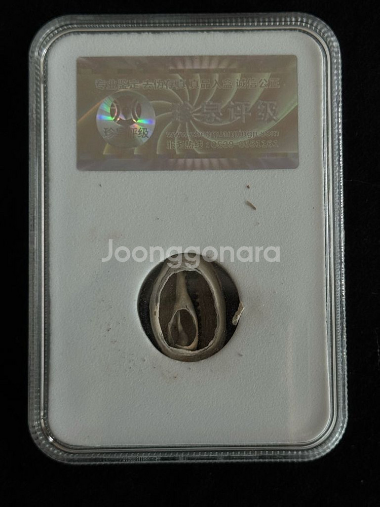 골동품 화폐 고대 상주시대 천연 패화 그레이딩--3