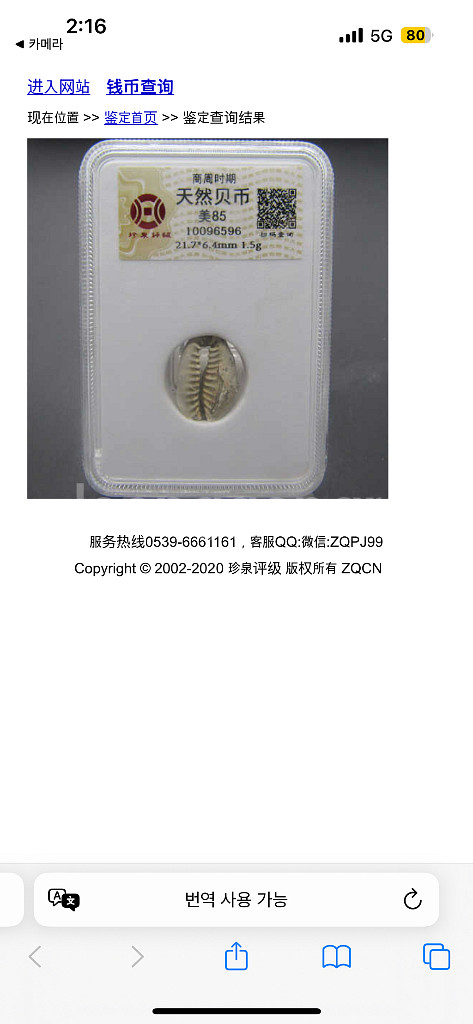 골동품 화폐 고대 상주시대 천연 패화 그레이딩--7