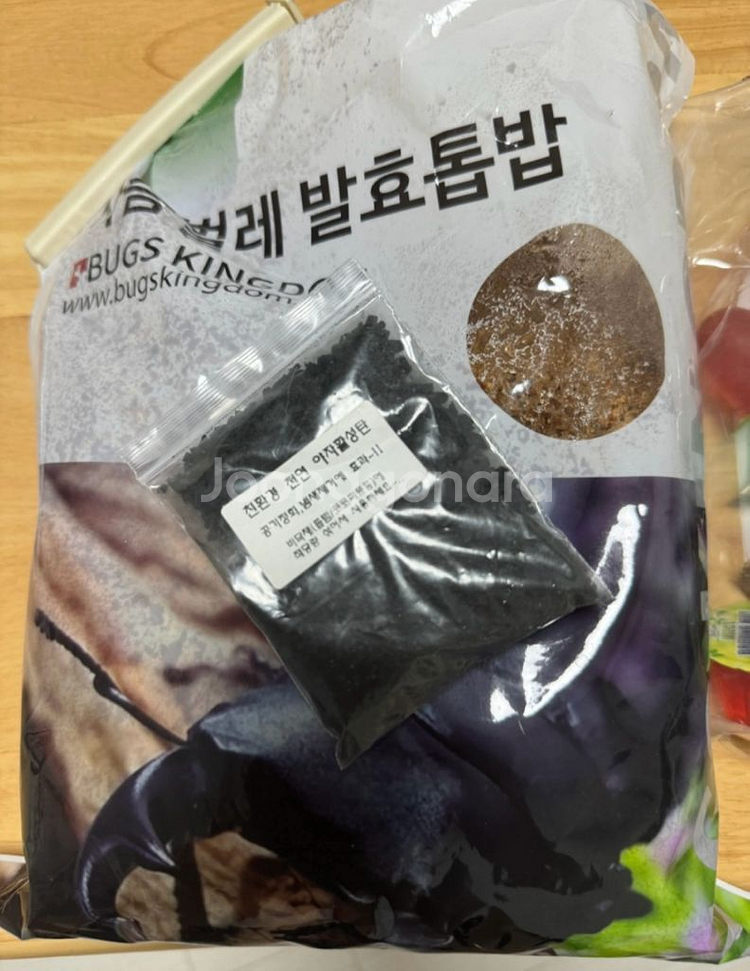 곤충 키우기 세트--1