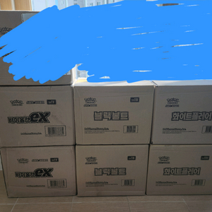 포켓몬카드)블랙볼트, 화이트플레어 최저가 판매