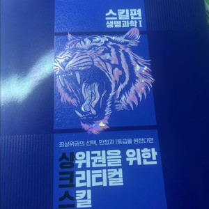 백호 상크스 문제편 본편
