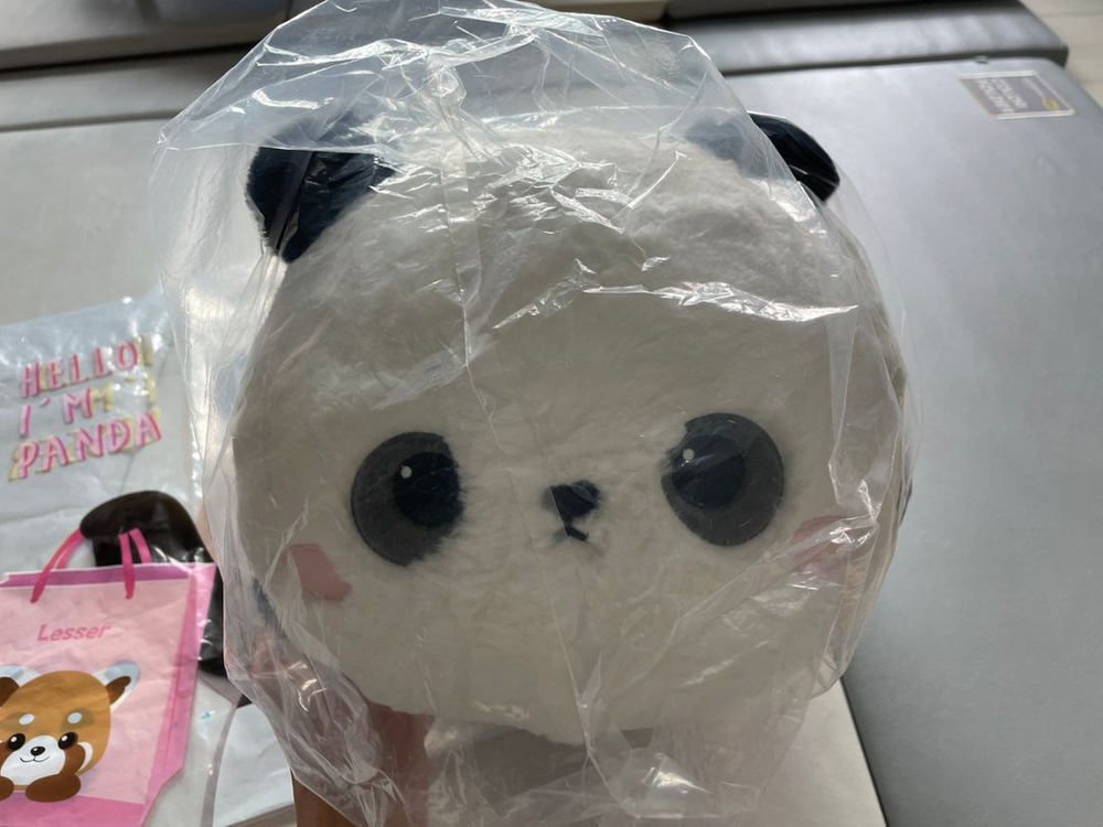 [새상품] 에버랜드 팬더 푸바오 인형/판다 라잉쿠션--1