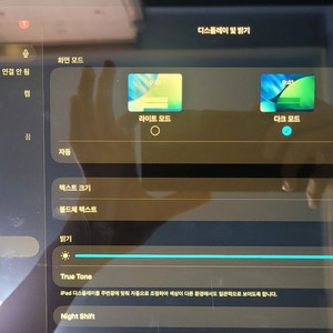 아이패드 프로11 1세대 256GB 셀룰러