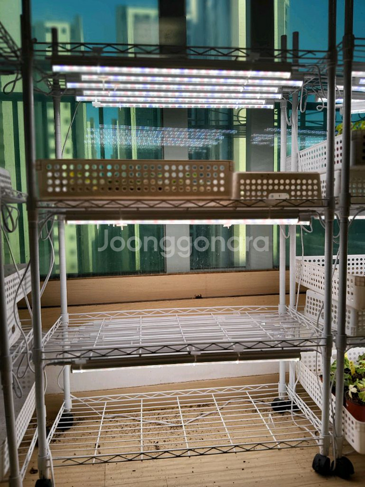 식물등,에어온라이팅 15개이지라이프철제4단선반화이트--3