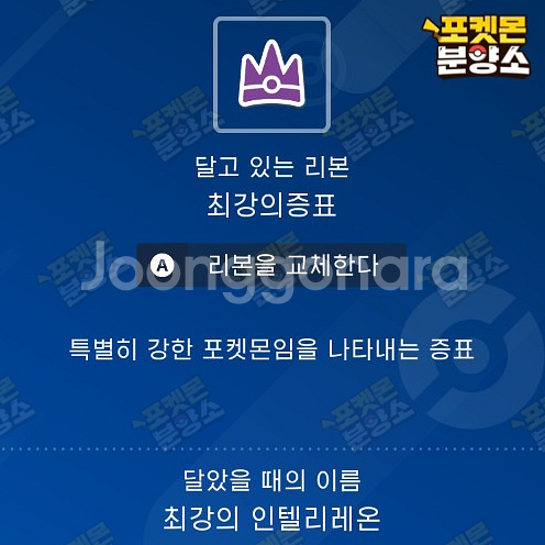 최강의 테라레이드 포켓몬 분양 / 스칼렛 바이올렛--7