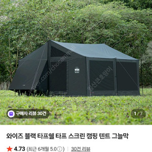 카즈미 타프쉘