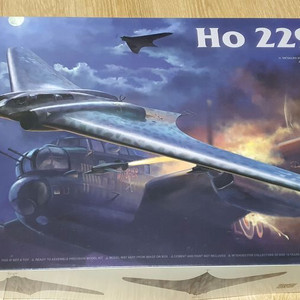 타콤 1/32 Ho229 B (인테리어) [프라모델]