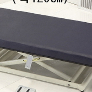 보바스테이블 재활테이블