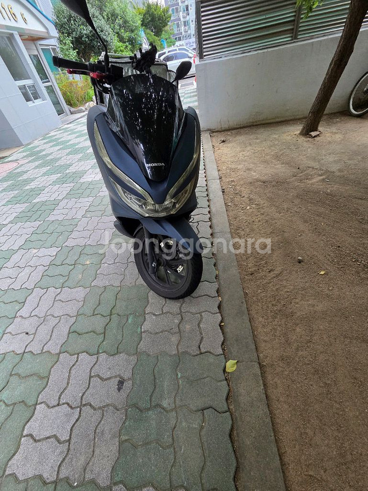 혼다 pcx 125--3