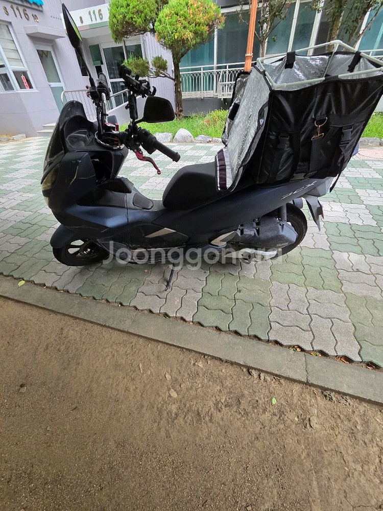 혼다 pcx 125--6