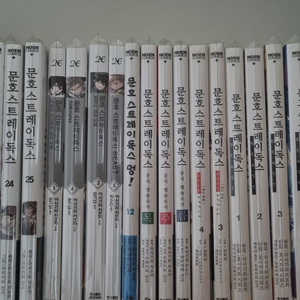 문호스트레이독스 만화책+소설