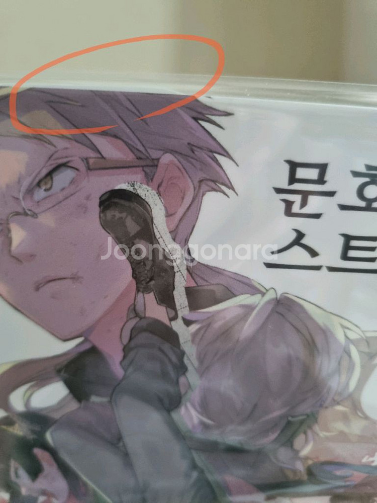 문호스트레이독스 만화책+소설--1