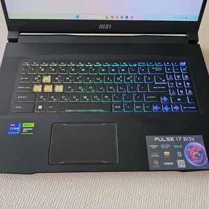 SS급 MSI 게이밍노트북 QHD i9 13세대 32램