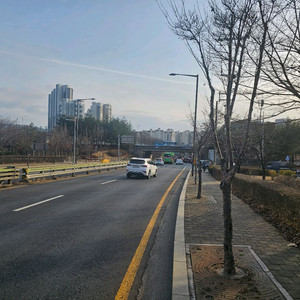 그랜드세이코 구매 sbga413/415
