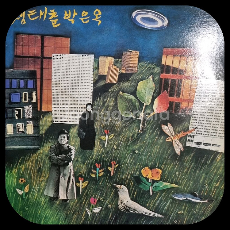 정태춘.박은옥LP.NM/NM--0