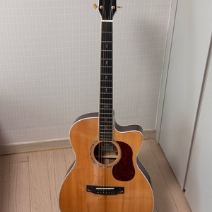 콜트 골드 OC8 올솔리드 기타