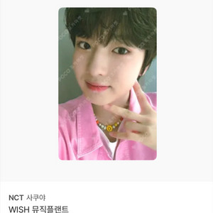 엔시티 위시 사쿠야 뮤직 플랜트 포카