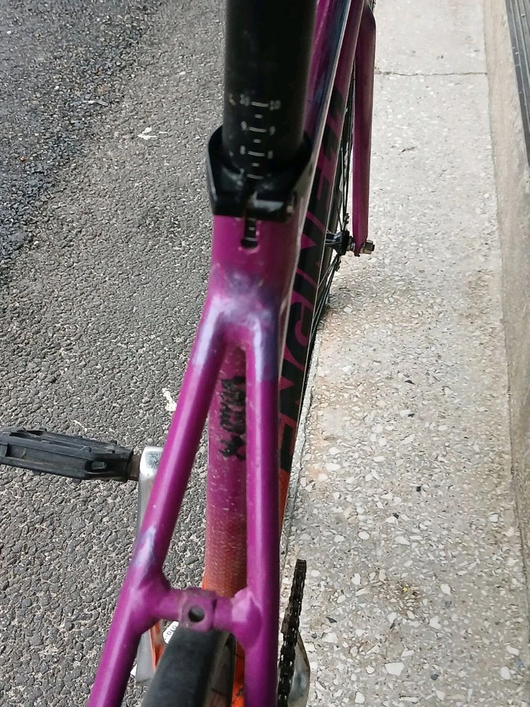 엔진11 볼텍스 퍼플 오랜지 이미지