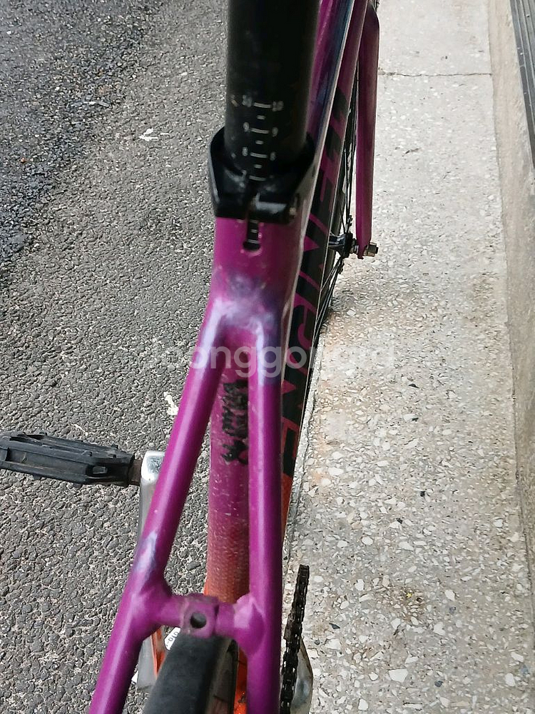 엔진11 볼텍스 퍼플 오랜지--1