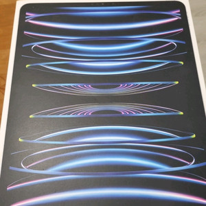 아이패드프로 12.9 6세대 12 리퍼미사용+애케플+펜