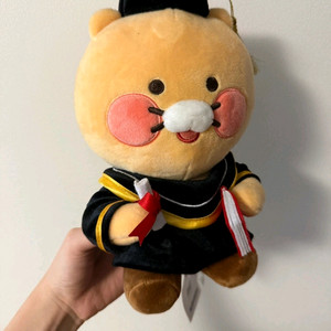 졸업식 학사모쓴 인형 텍그대로!