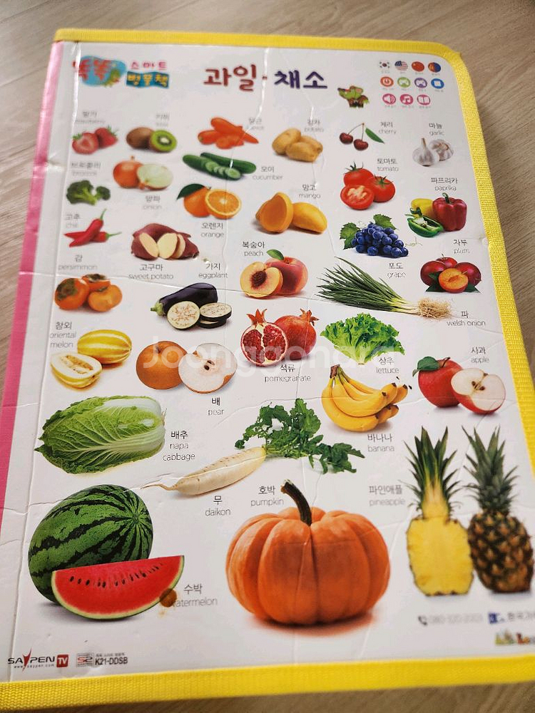 테그펜 세이펜--1