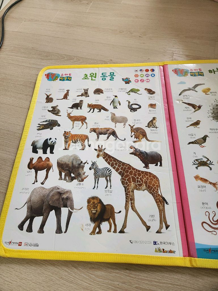 테그펜 세이펜--3