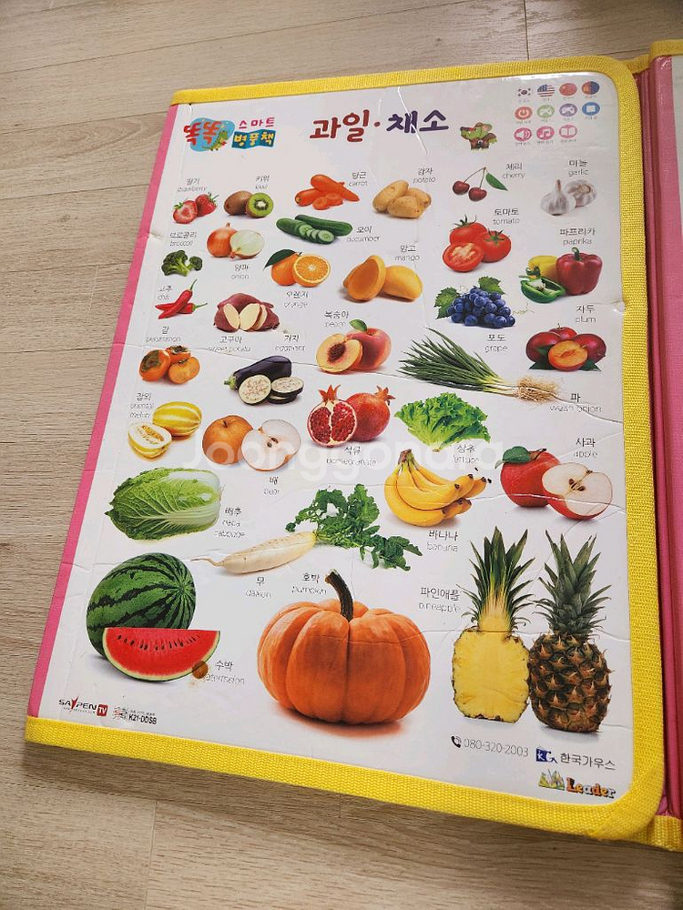 테그펜 세이펜--4