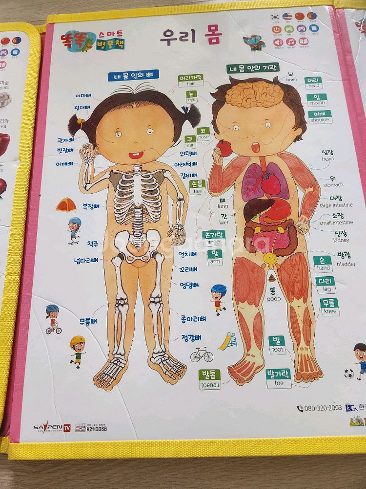 테그펜 세이펜--6