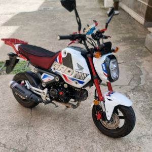 21년식 ABS MSX125 그롬 판매 및 대차