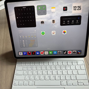 iPad Pro 12.9 3세대 512기가 셀룰러+펜슬