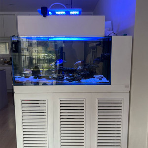 마린*** 어항 세트 (화이트 캐비닛 포함)