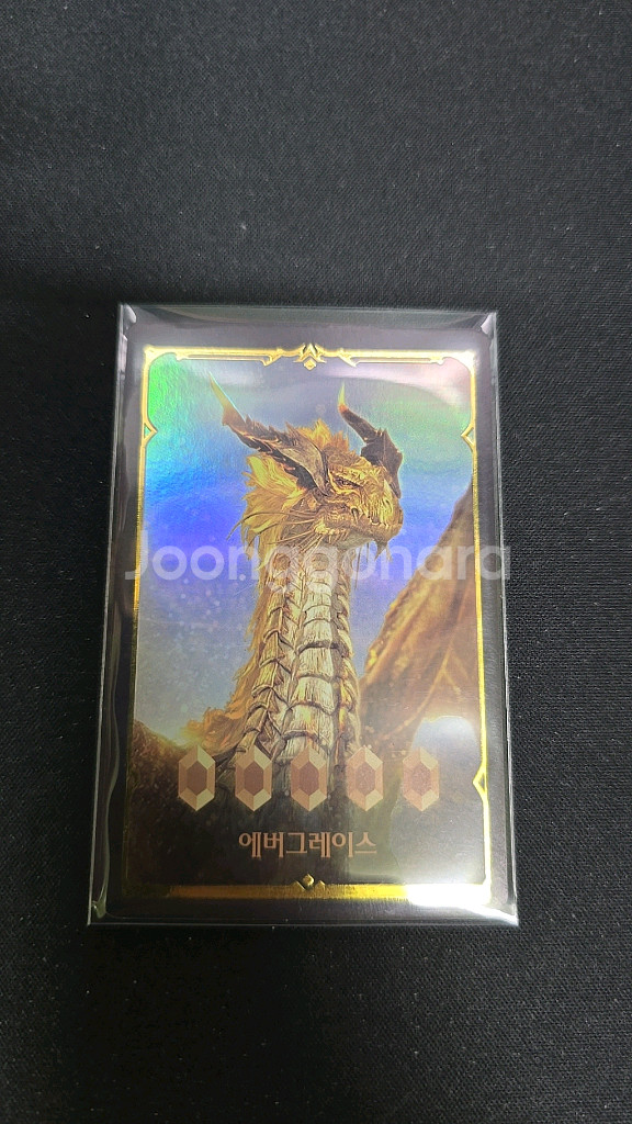 로스트아크 컬렉션카드 에버그레이스--0