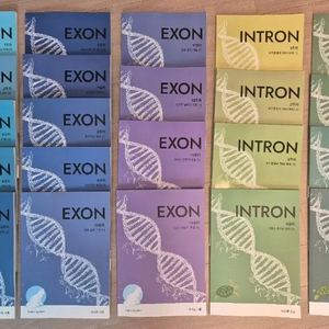 2026 생명과학2 시대인재 이서준 엑손 인트론 전권