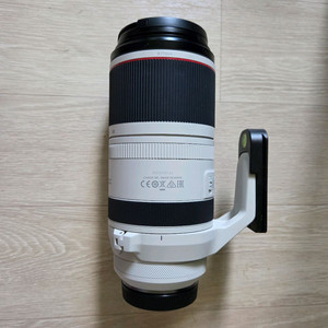 캐논 RF100-500