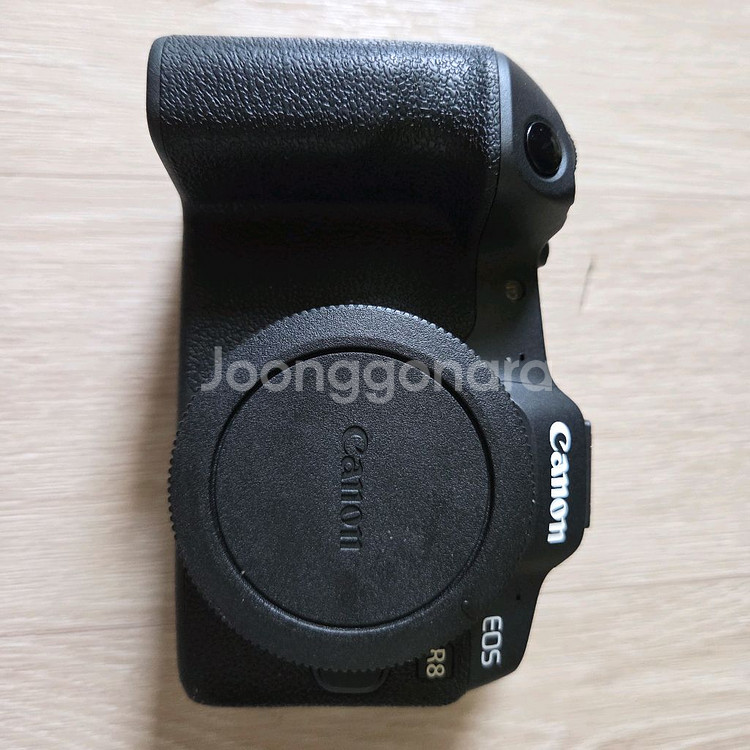 캐논 R8--1